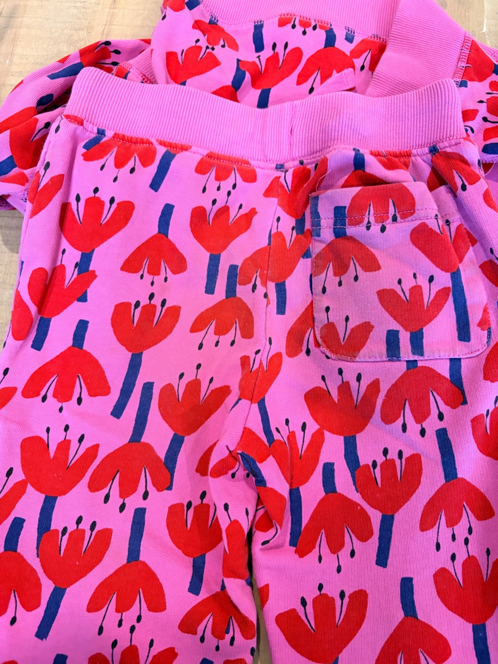 Hanna Andersson Pink Sweatsuit with Red Floral Print - Picture 4 of 6